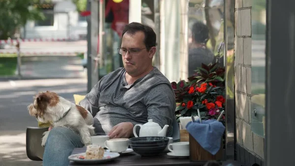 Man stroking a small jack russell dog wearing glasses lying in his lap