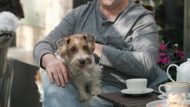 Adam kucağında küçük bir köpekle oynuyor.