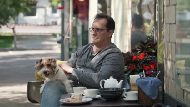 Muž hladí malého psa ležícího na klíně — Stock video