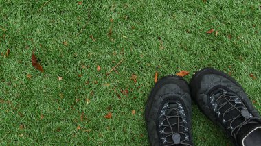 Yaz zamanı turist botları.