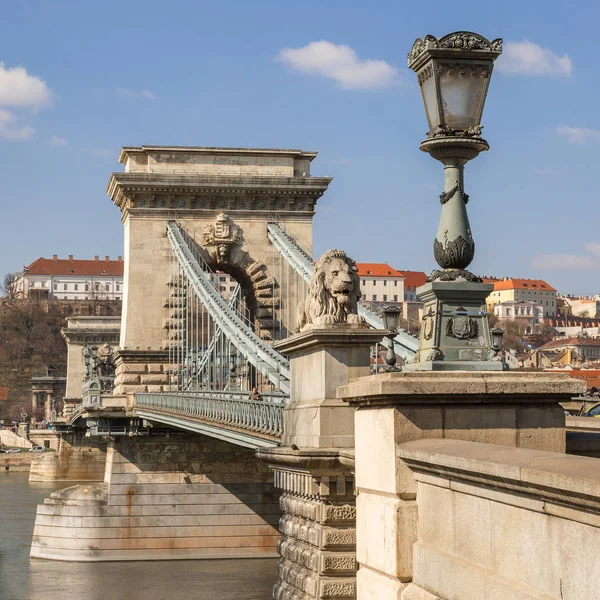 León en el puente de la cadena en el río Danubio en Budapest — Foto de Stock
