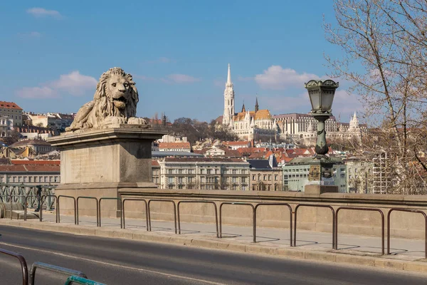 Budapest, Ungern, mars 22 2018: Lion på Chain Bridge ligger vid floden Donau i Budapest — Stockfoto