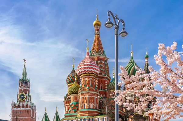 Bela vista da Catedral de São Basílio. A flor de Sakura em Moscovo. Época. Rússia, o Kremlin Moscovo primavera — Fotografia de Stock