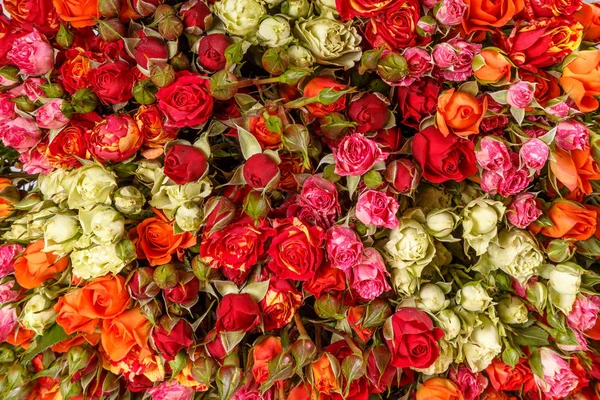 Beau fond de fleurs pour scène de mariage — Photo