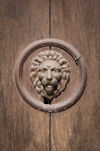 Dökme demir kapı kapı tasarımı aslanlar kafa ile — Stok fotoğraf