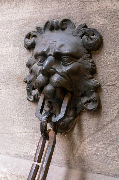 Porta in ghisa design cancello con testa di leoni — Foto Stock