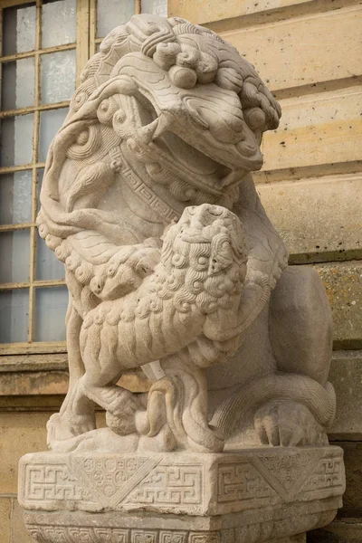 Oroszlán márvány arc, kínai oroszlán, kőből faragott szobor, a hatalom jelképe — Stock Fotó