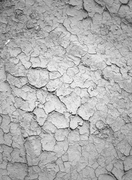 Cracks on the salt ground. Textured background for design — Stock Photo, Image