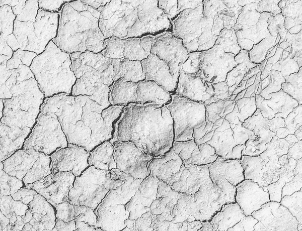 盐地上的裂缝。设计背景纹理 — 图库照片