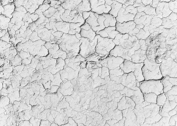 Cracks on the salt ground. Textured background for design — Stock Photo, Image