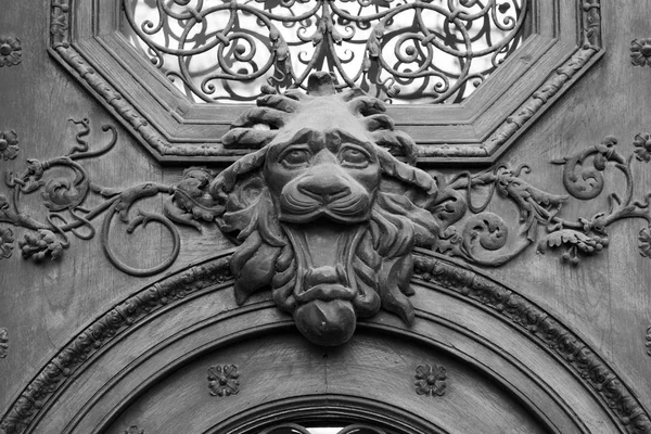 Cabeza de león de latón en la puerta, blanco y negro — Foto de Stock