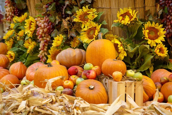 Calabazas naranjas en exhibición en el mercado de agricultores. Concepto de cosecha y acción de gracias — Foto de Stock