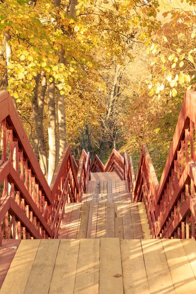 Пешеходная дорожка с деревянными лестницами в осеннем лесу — стоковое фото