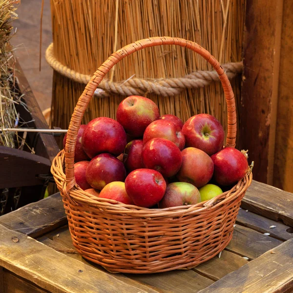 Органические яблоки в корзине Свежие яблоки в природе — стоковое фото
