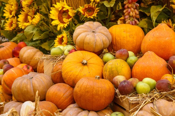 Orange pumpkins on display at the farmers market. Harvesting and Thanksgiving concept — Stock Photo, Image
