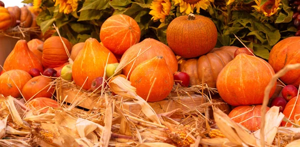 Orange pumpor på displayen på jordbrukarna marknaden. Skörd och Thanksgiving koncept — Stockfoto