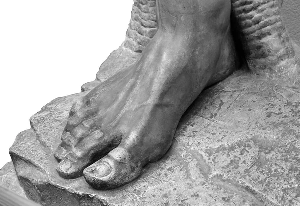 Gips ledemaat voet voeten met vingers, lichaamsdeel — Stockfoto