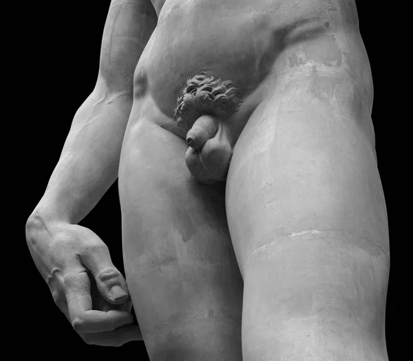 Het standbeeld van David van de Italiaanse kunstenaar Michelangelo — Stockfoto