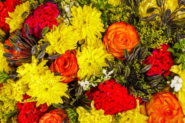 Abstracte achtergrond van bloemen. Close-up — Stockfoto