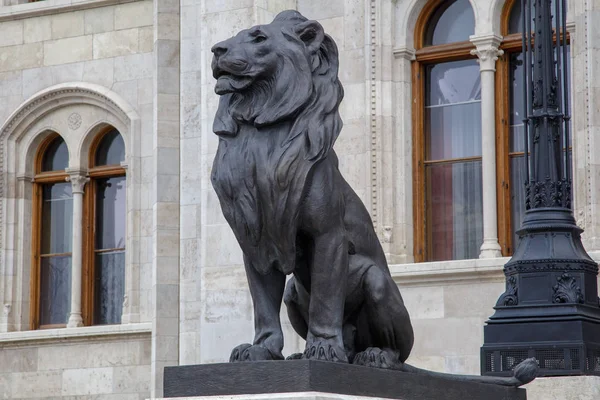Budapest, Ungern - 25 mars 2018: Svart skulptur av lion som vakt på ingången till byggnaden av ungerska parlamentet i Budapest, Ungern, se solnedgången timmar. Selektivt fokus — Stockfoto