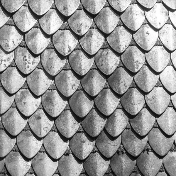 Chain armour element made of the steel plates — Stock Photo, Image