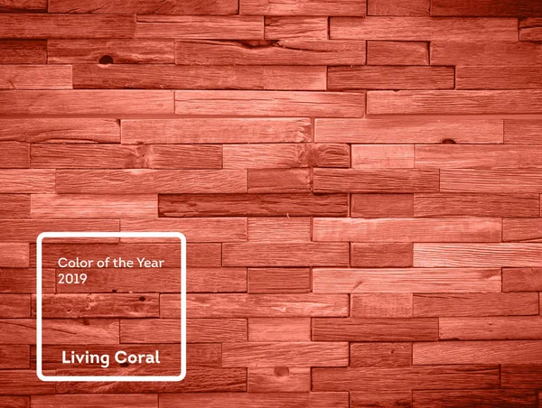 Yıl 2019 Mercan rengi yaşayan. Ahşap doku arka plan ile moda renkli mercan — Stok fotoğraf