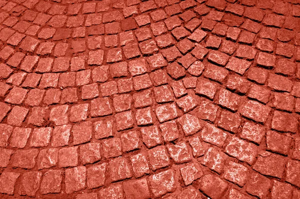 Mur de pierre fait avec des carrés. Couleur corail vivant de l'année 2019. Principale tendance concept — Photo