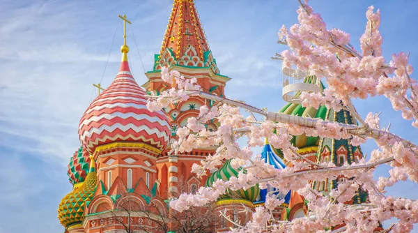 Moscow and St. Basil Cathedral at spring day through flowering tree — Stock Photo, Image