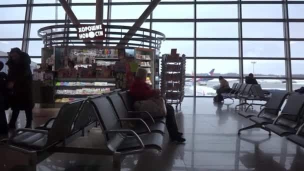Moskau, Russland - 18. Februar 2019: Flughafenterminal gegen Glaswand-Fenster. Geparktes Flugzeug von außen gesehen, bewölkter Himmel. — Stockvideo