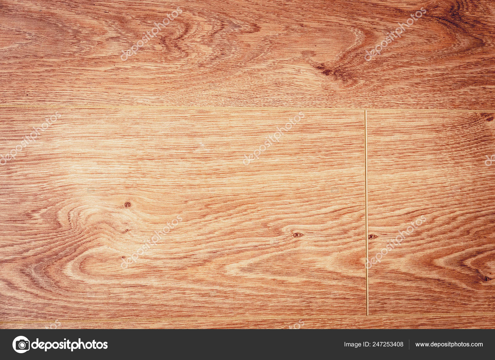 Wood Texture Background Surface With Old Natural Pattern Timber