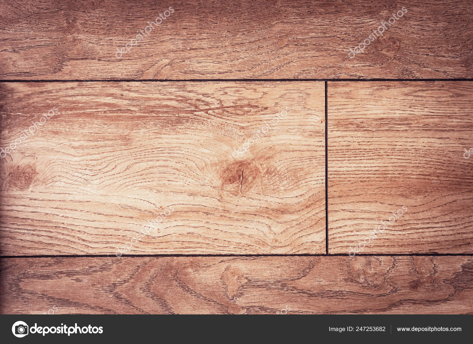 Wood Texture Background Surface With Old Natural Pattern Timber
