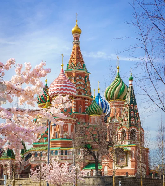 Moscow and St. Basil Cathedral at spring day through flowering tree — Stock Photo, Image