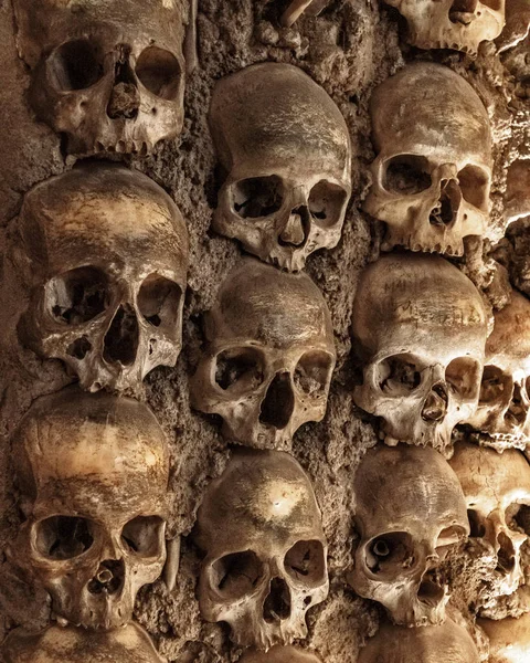 Skull and human bones. Cemetery ancient wall pattern. Horror dark chapel. Death pattern concept. Scary skeleton background. Old catacomb grave full of skulls. Plague tomb — Stock Photo, Image
