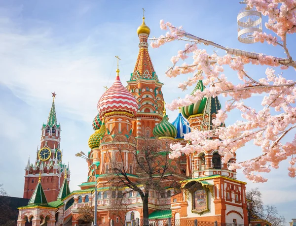 Moscou e St. Basílio Catedral no dia de primavera através da árvore de floração — Fotografia de Stock