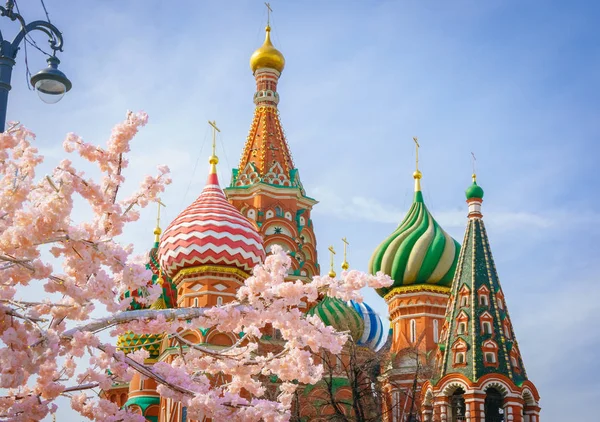 Moskva a St. Basil katedrála na jarní den prostřednictvím Kvetoucí strom — Stock fotografie