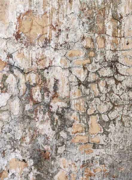 Eski beton duvar boyası kırık. Soyulması boya duvar dokusu üzerinde. Rustik mavi grunge malzeme desen — Stok fotoğraf