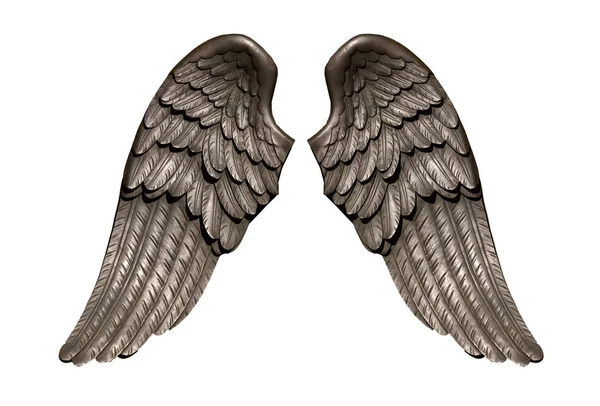 Alas de ángel, plumaje de ala negra natural aislado sobre fondo blanco —  Fotos de Stock