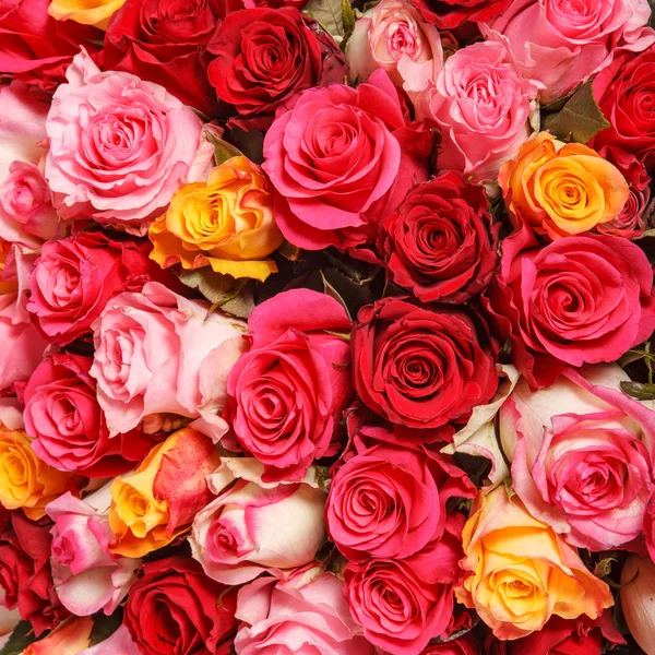 Ramo de flores rosadas y rojas. Colorida decoración romántica de rosas surtidas. Naturaleza fondo floral —  Fotos de Stock