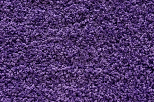 Ultra violet or purple carpet texture backdrop. Warm wool colored cloth with sheep curled nap — Stock Photo, Image