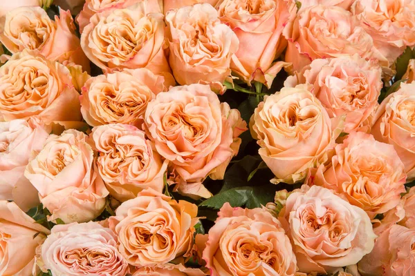 Letní kvetoucí jemné růže na kvetoucích květinách slavnostní pozadí, pastelové a měkké kytice květinové karty. Pozadí přírody — Stock fotografie