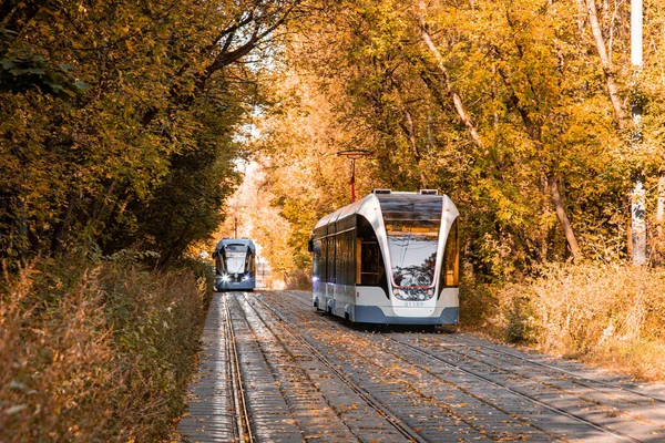 モスクワ、ロシア。2020年（平成32年）10月2日-黄色の紅葉の回廊路面電車。その中の秋の森はトラムに行きます。公園を通る鉄道 — ストック写真