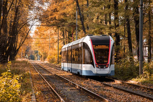 モスクワ、ロシア。2020年（平成32年）10月2日-黄色の紅葉の回廊路面電車。その中の秋の森はトラムに行きます。公園を通る鉄道 — ストック写真