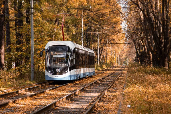 Moscovo, Rússia. 2 de outubro de 2020: trilhos de bonde no corredor das árvores amarelas do outono. Floresta de queda entre a qual vai um bonde. Ferrovia através do parque — Fotografia de Stock