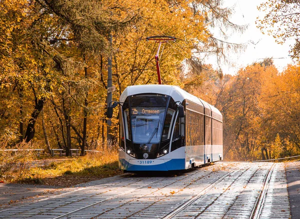 モスクワ、ロシア。2020年（平成32年）10月2日-黄色の紅葉の回廊路面電車。その中の秋の森はトラムに行きます。公園を通る鉄道 — ストック写真