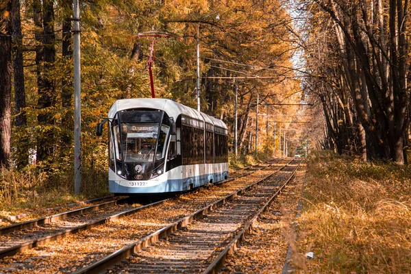 Mosca, Russia. 2 ottobre 2020: Tram rail nel corridoio degli alberi gialli autunnali. Foresta autunnale tra cui va un tram. Ferrovia attraverso il parco Foto Stock