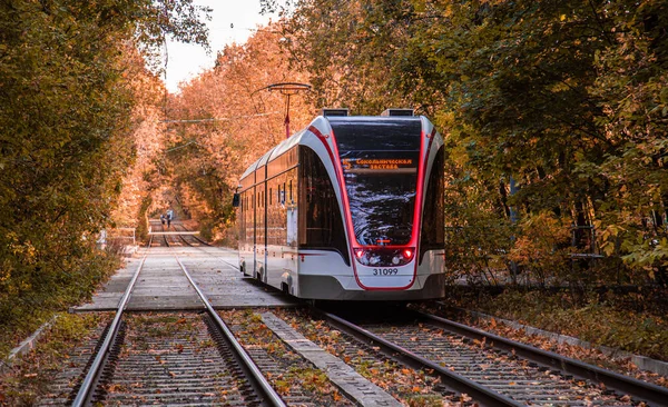 Moskva, Ryssland. 2 oktober 2020: Spårvagnsräls i de gula höstträdens korridor. Fallskog bland vilka går en spårvagn. Järnväg genom parken — Stockfoto