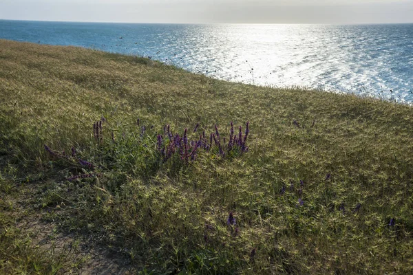 Zwarte Zee Tarkhankut Schiereiland Crimea — Stockfoto