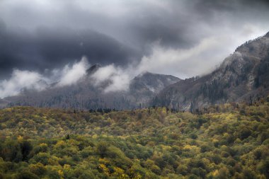 Dağlarda sonbahar, Kafkaslar