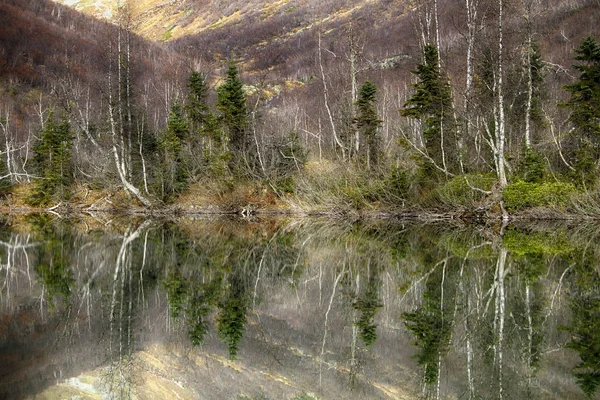 Kardyvach Bergmeer Met Reflecties Herfst Landschap Kaukasus Sochi Rusland — Stockfoto