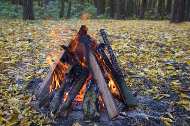 Sonbahar ormanında şenlik ateşi